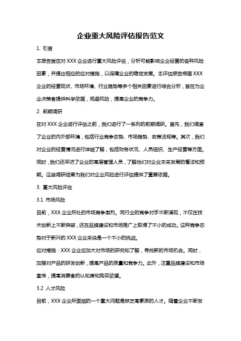 企业重大风险评估报告范文