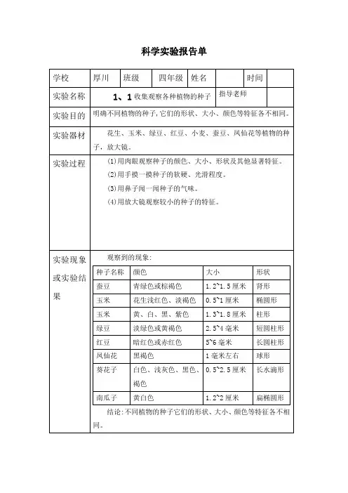 四年级下册科学1、1收集观察各种植物的种子-实验报告单