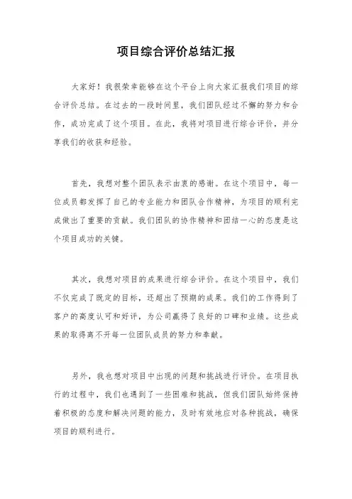 项目综合评价总结汇报