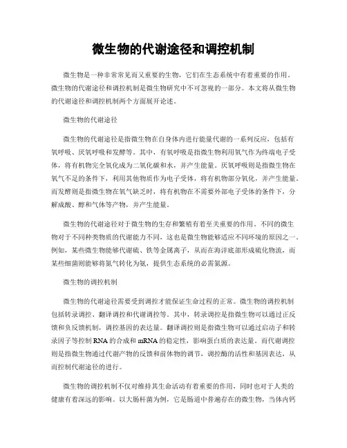 微生物的代谢途径和调控机制