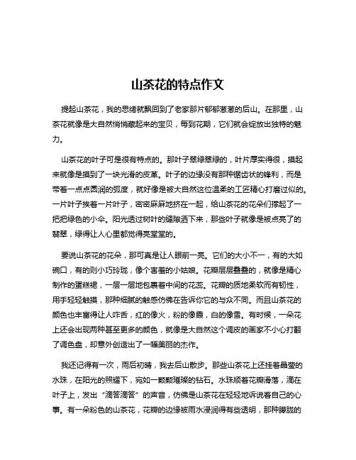 山茶花的特点作文