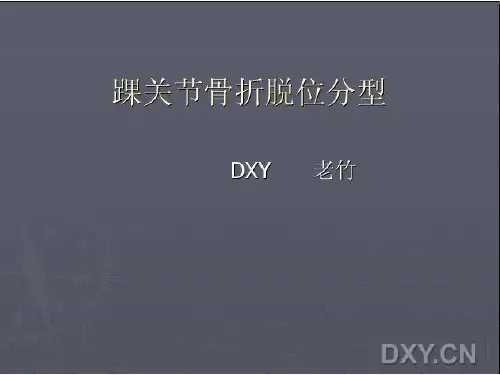 踝关节骨折脱位Laugehansen分型