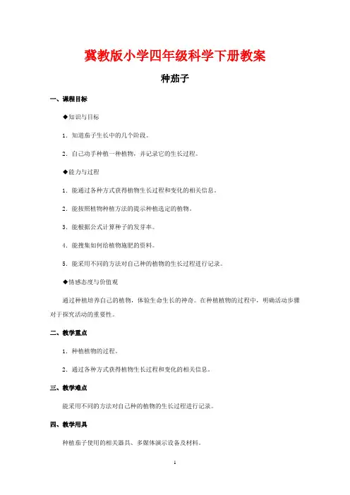 冀教版小学四年级科学下册《种茄子》教案