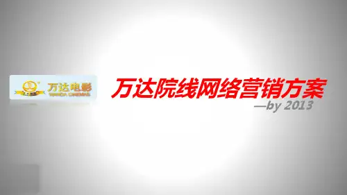 2013万达院线网络营销方案