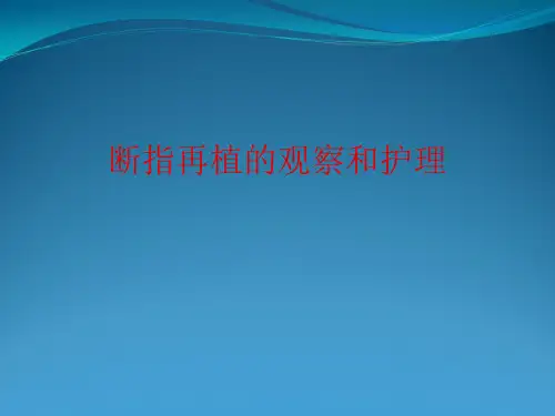 断指再植观察和护理