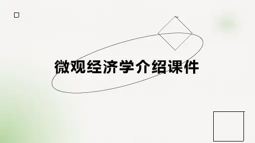 微观经济学介绍课件