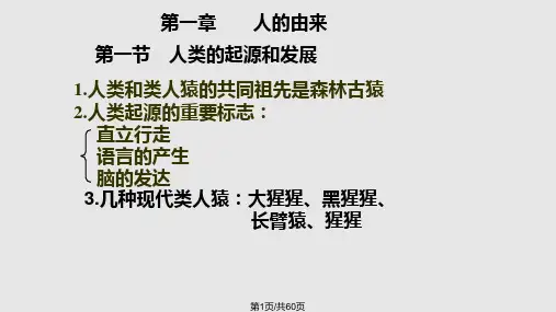 新人教版七年级生物下册复习共60张PPT课件