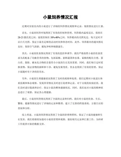 小鼠饲养情况汇报