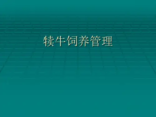 犊牛饲养管理(整理)