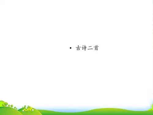 人教部编版一年级下册语文课件-课文(四)12古诗二首 (共13张PPT)