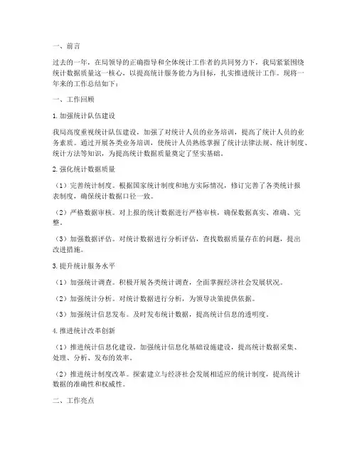 数据局统计工作总结报告