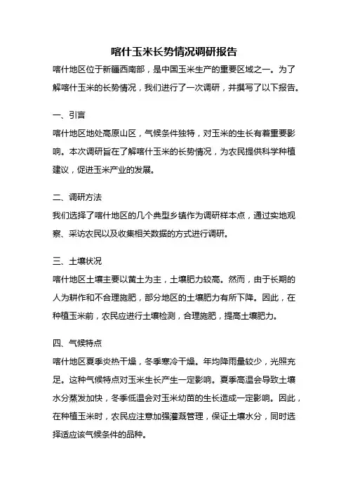 喀什玉米长势情况调研报告