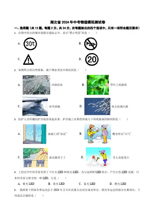 2024年湖北省中考物理模拟测试卷(含解析)