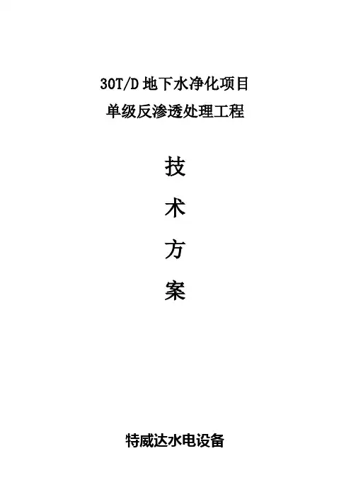 30吨反渗透方案