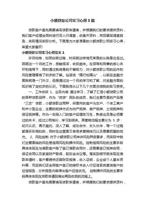 小额贷款公司实习心得3篇