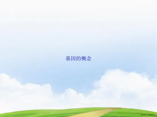 基因的概念2讲课文档