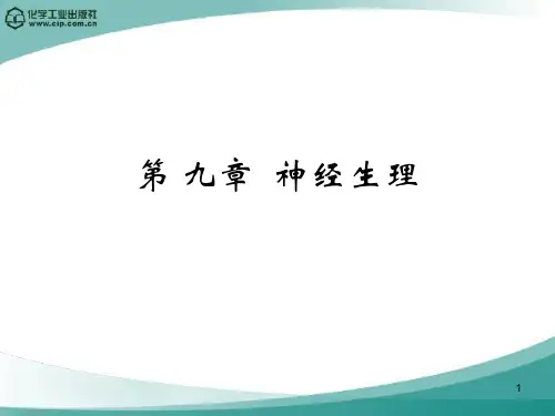 动物生理学第九章神经生理-PPT课件