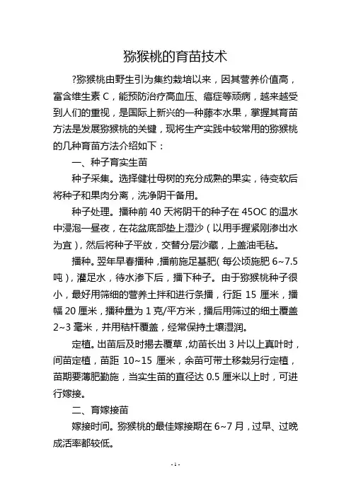 猕猴桃的育苗技术