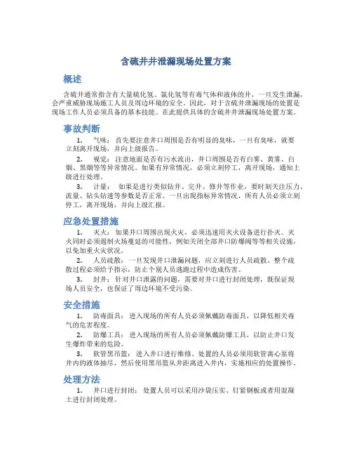 含硫井井泄漏现场处置方案