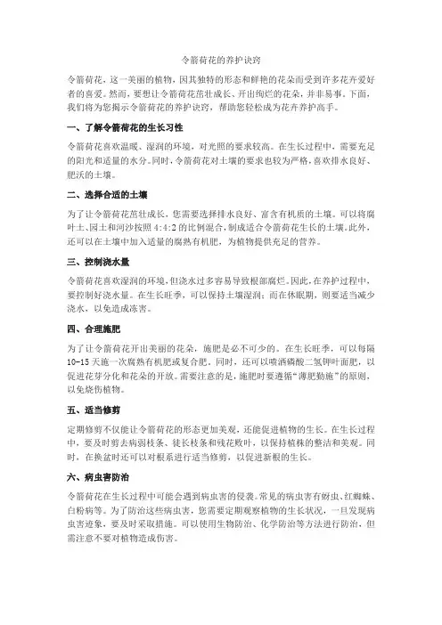 令箭荷花养护诀窍