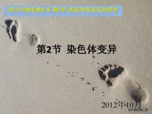 生物必修2课堂教学课件—染色体变异