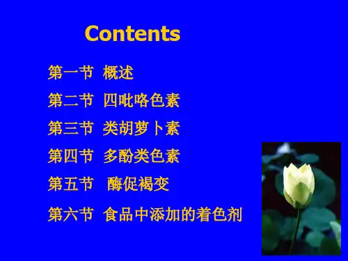色素和着色剂B
