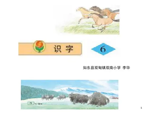 识字6(骏马秋风塞北)精选(课堂PPT)