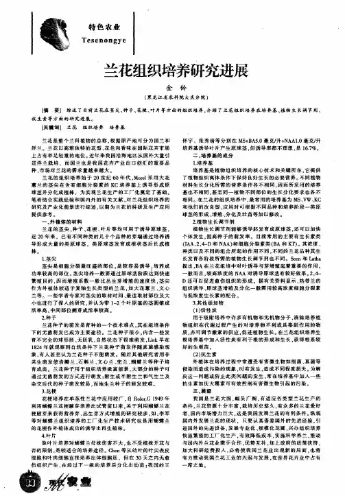 兰花组织培养研究进展