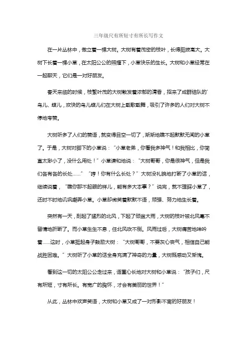 三年级尺有所短寸有所长写作文