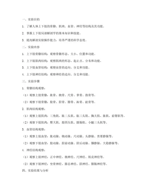 上下肢局解实验报告