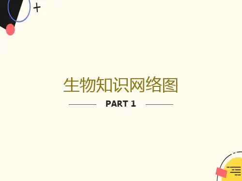 初中生物知识结构图