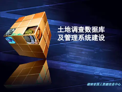 土地调查数据库及管理系统建设