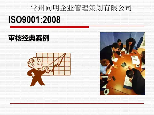 9001审核经典案例