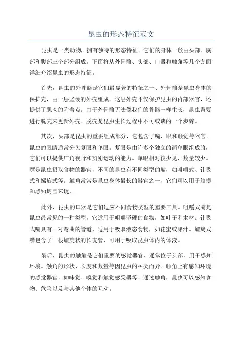 昆虫的形态特征范文