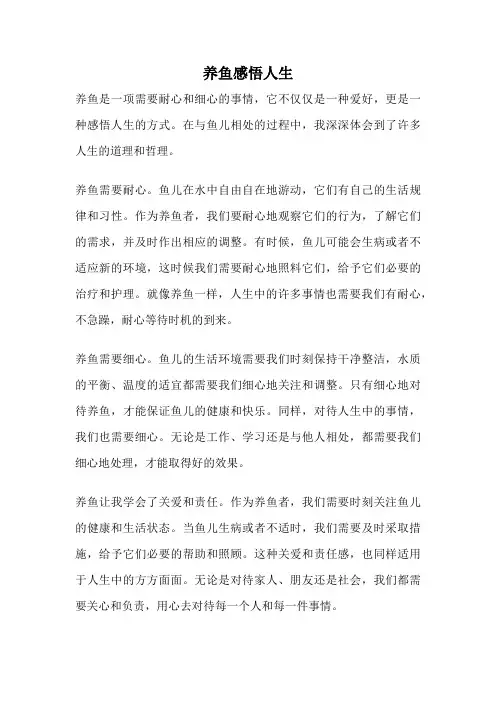养鱼感悟人生