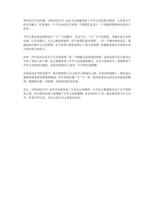 神奇的汉字读后感