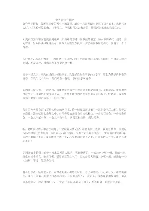 中考作文好句子适合各种文体
