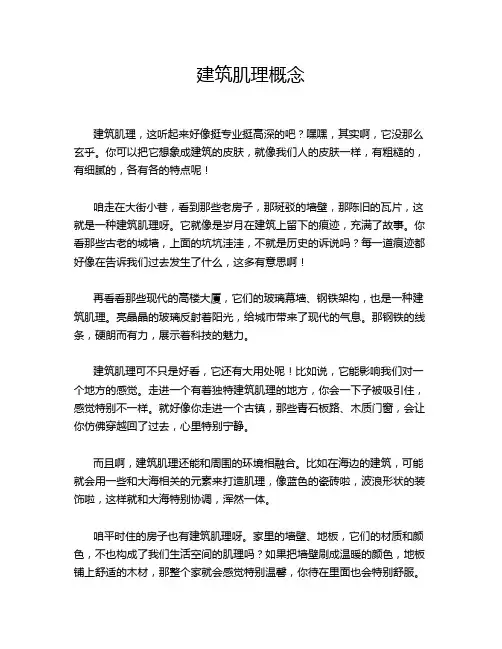 建筑肌理概念