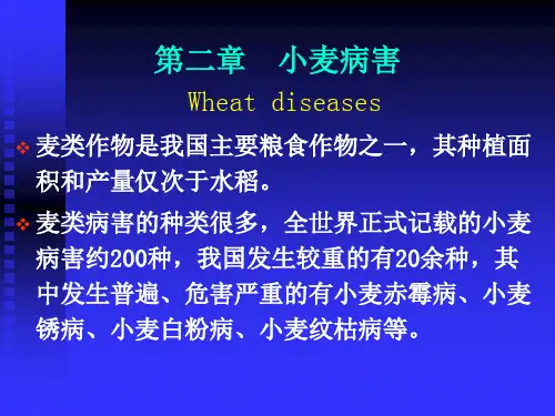 小麦病害及综合防治