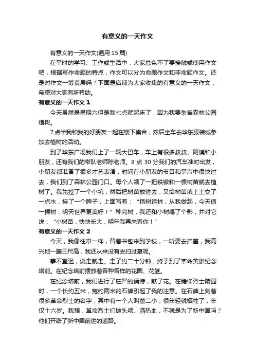 有意义的一天作文