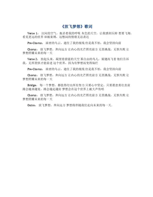 《放飞梦想》歌词