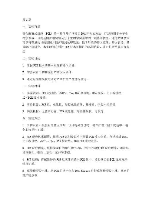 目的基因扩增实验报告(3篇)