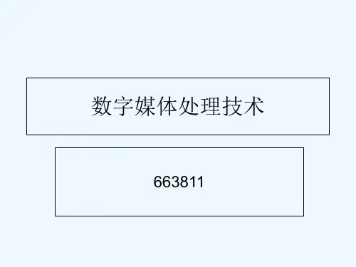 数字媒体处理技术概述 PPT