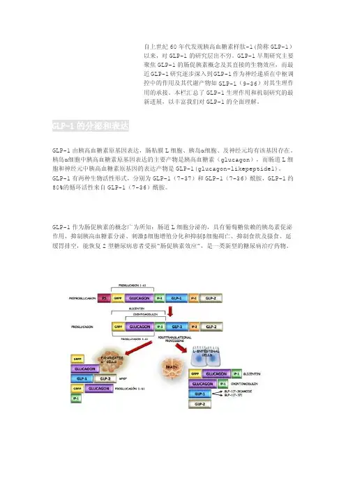 glp-1简介