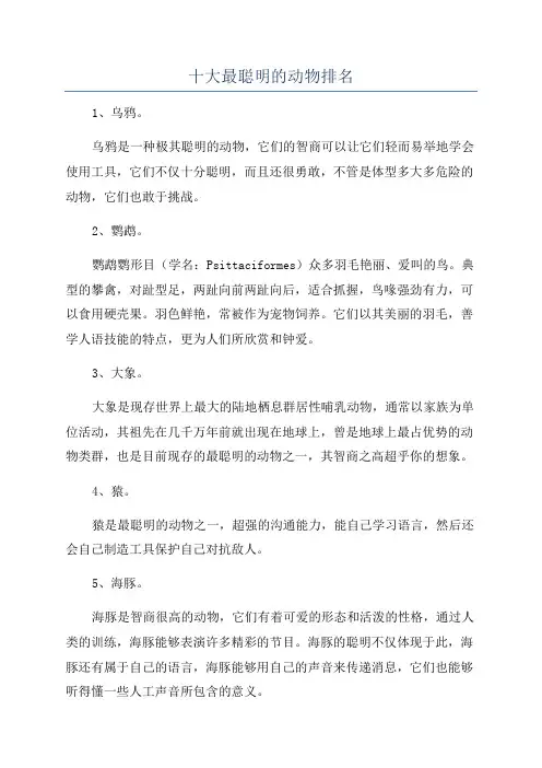 十大最聪明的动物排名