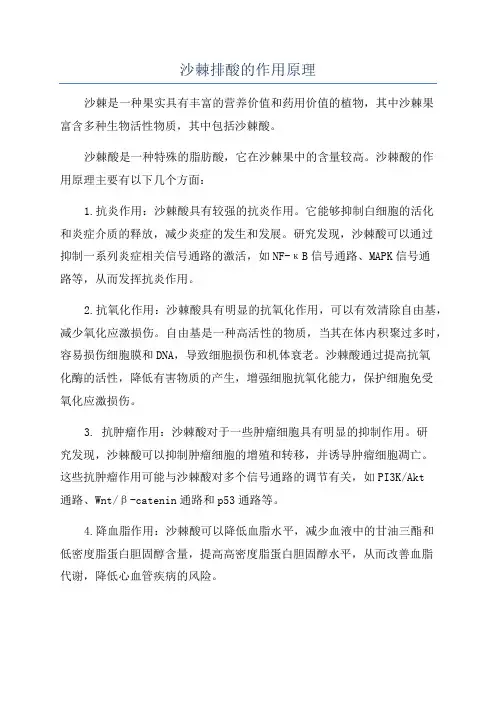 沙棘排酸的作用原理