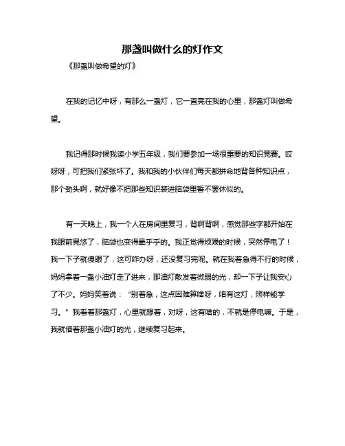 那盏叫做什么的灯作文