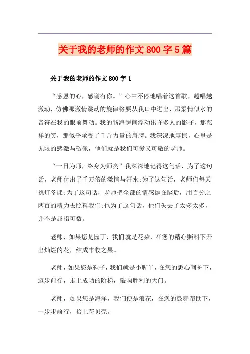 关于我的老师的作文800字5篇