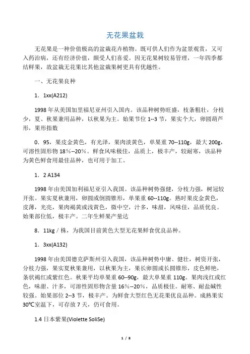 无花果盆栽