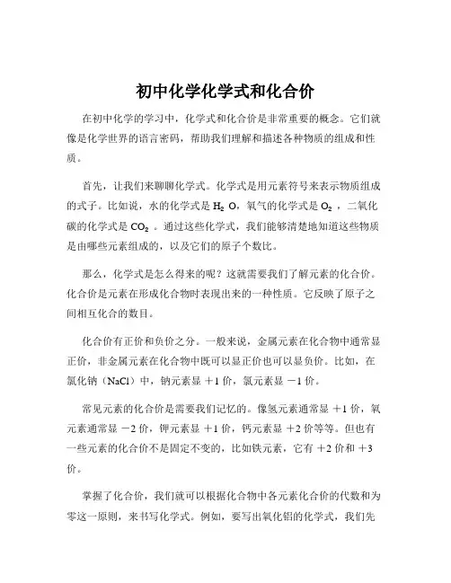 初中化学化学式和化合价